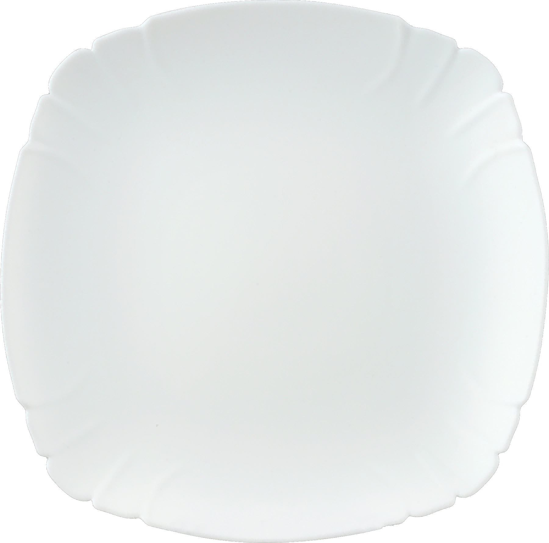10.5''FLAT PLATE <br>F-LBFP105