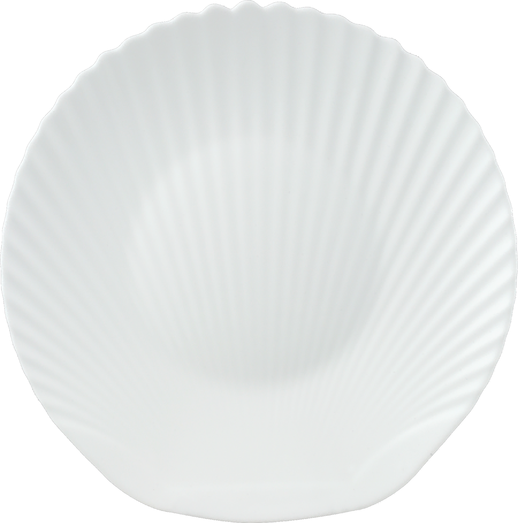 10.5''SHELL FLAT PLATE<br>F-LBKP105