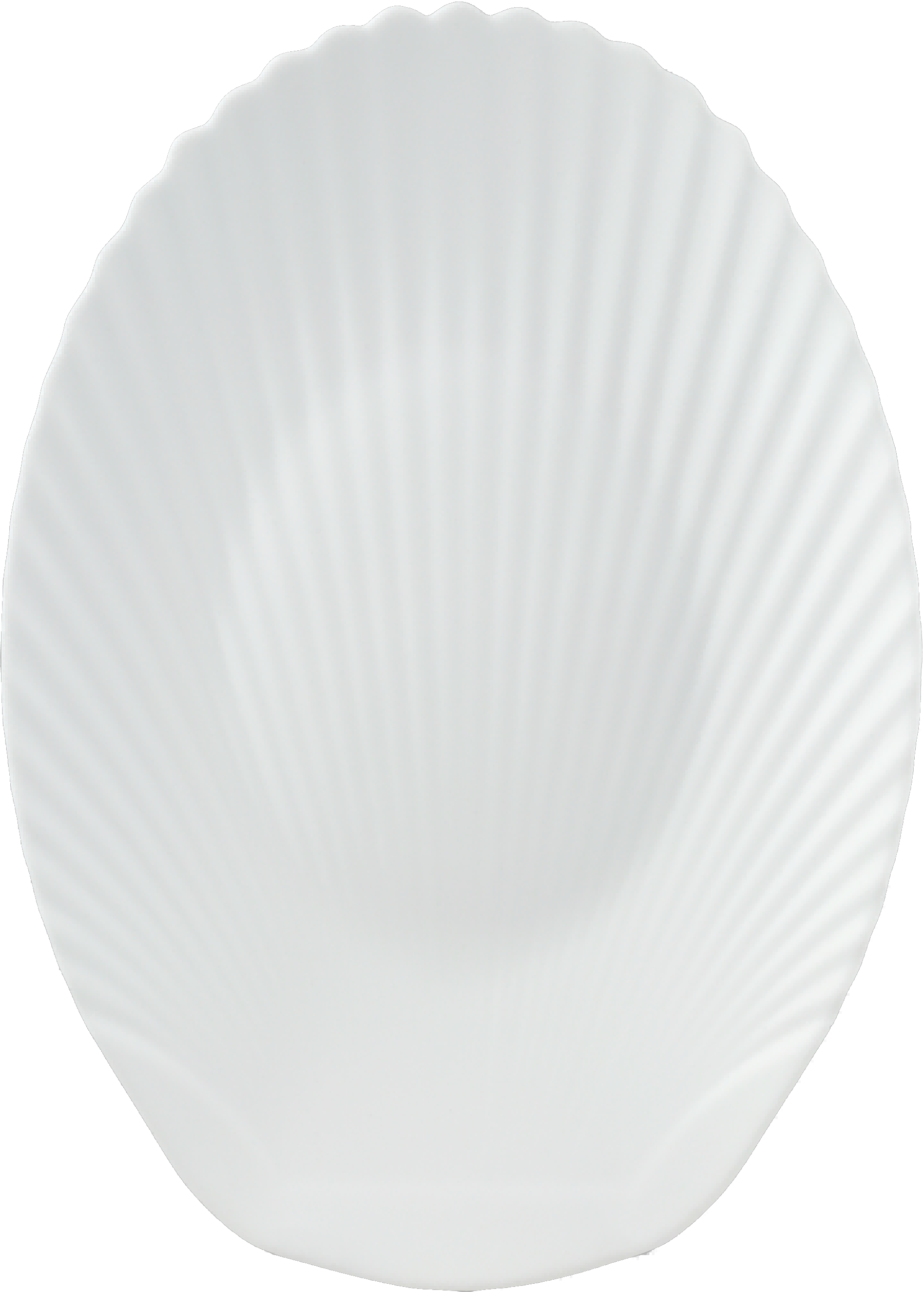14''SHELL OVAL PLATE<br>     F-LBKYP140