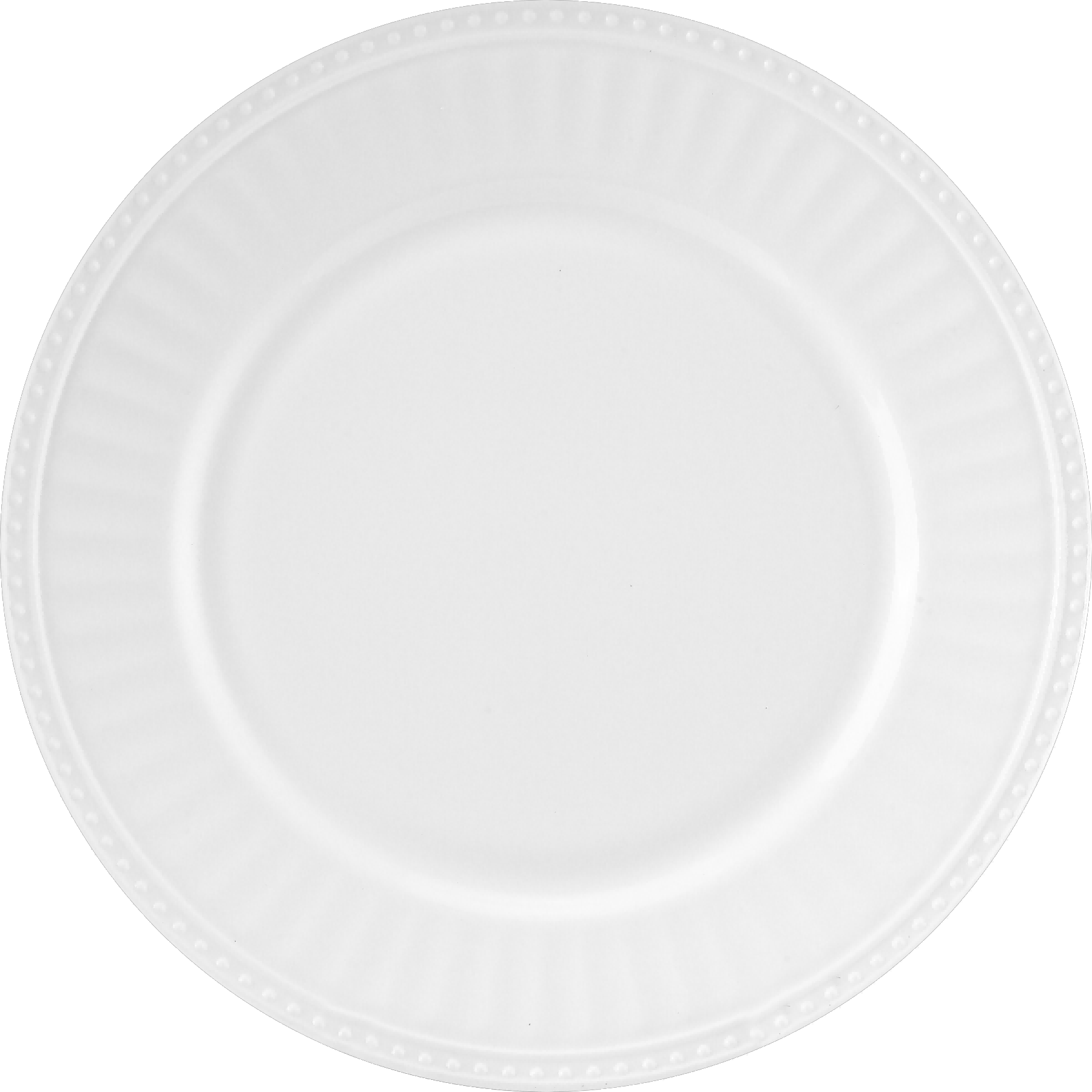 10''PLATE<br>FA-NPP100