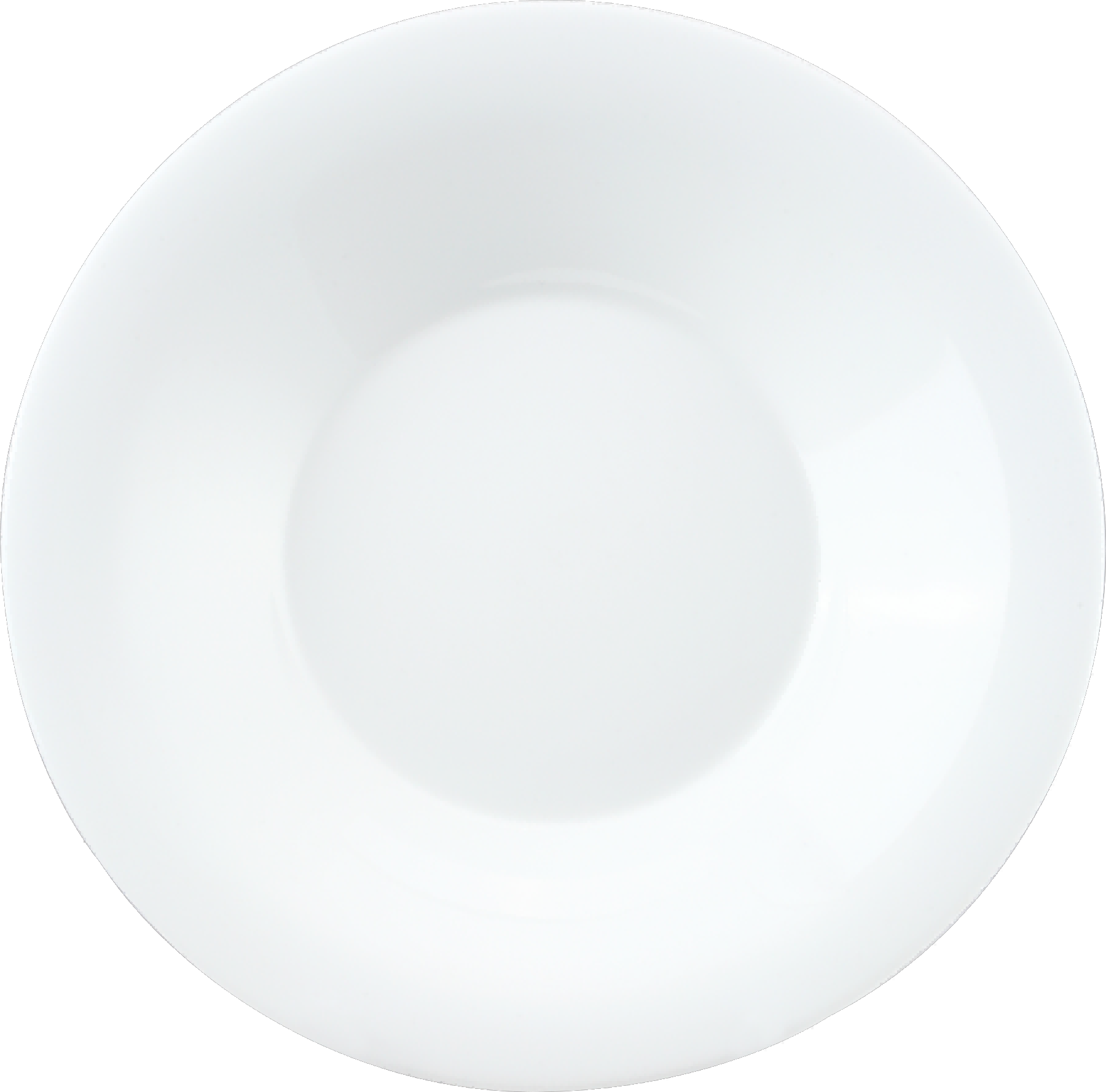 9.5''SOUP PLATE<br>F-LBTP95