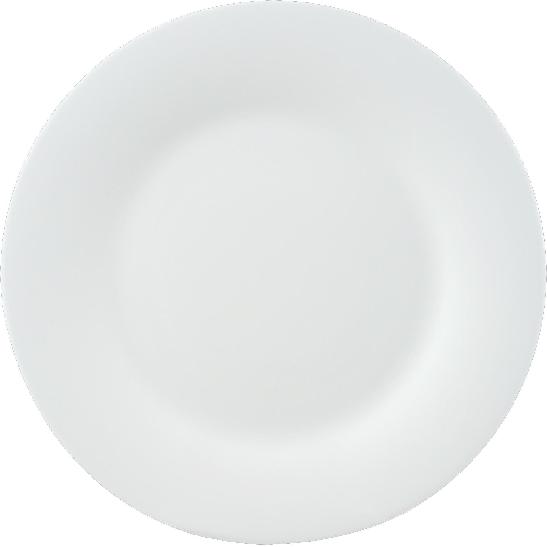 11''FLAT PLATE<br>F-LP110