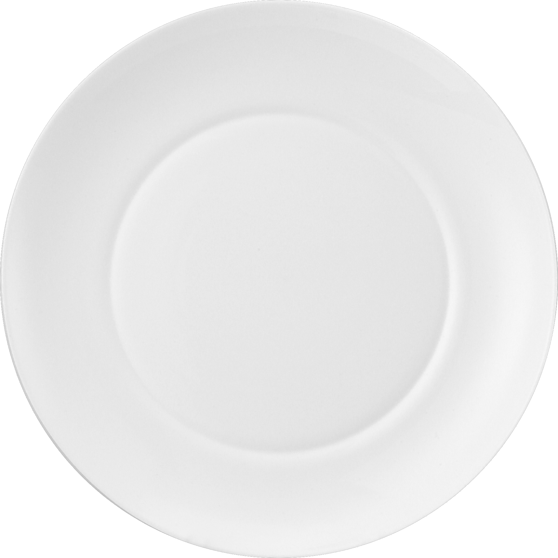 10''SPIN SHALLOW PLATE<br>F-LSPF100