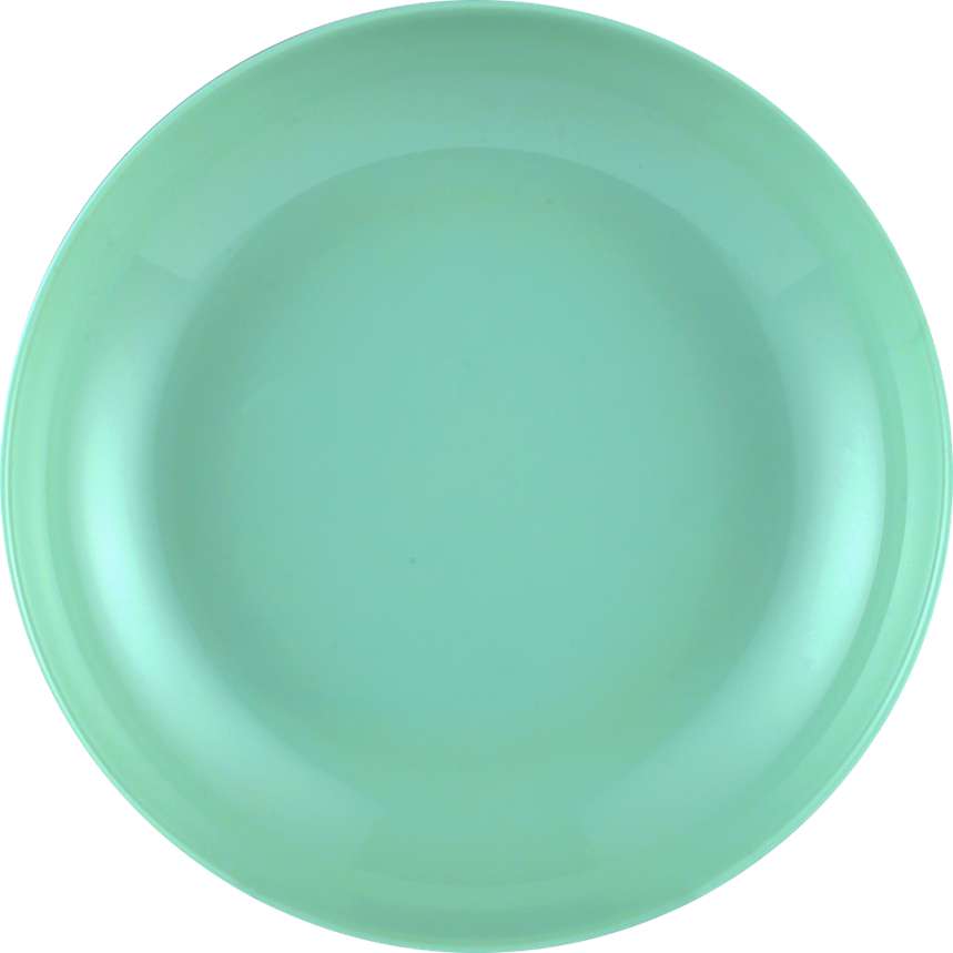 PLATE 1