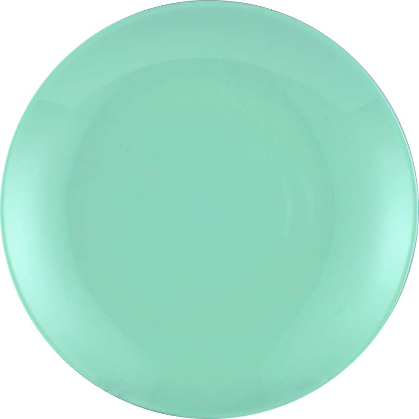 PLATE 2