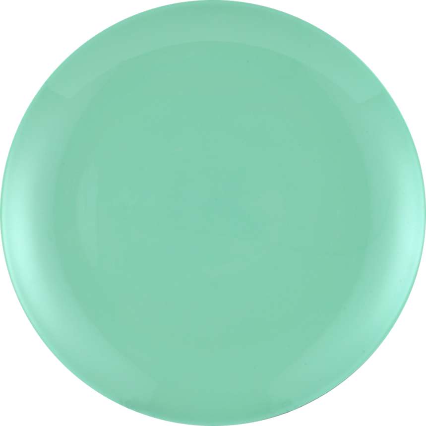 PLATE 3